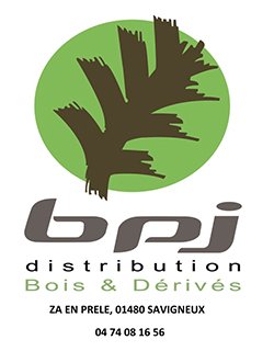 logo bpj 2 small - Accueil